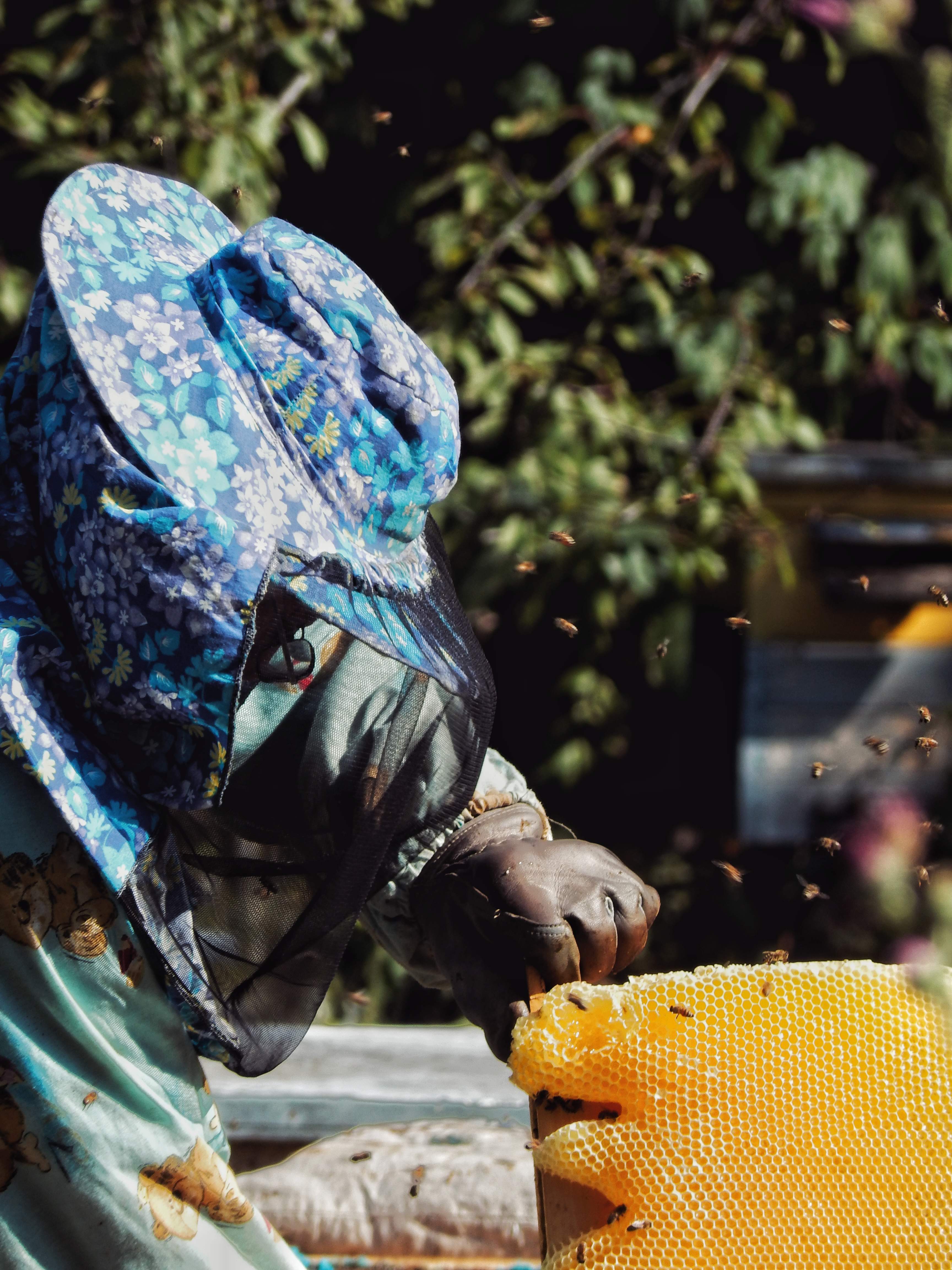 Пасічник за роботою — бджоли і золота рамка з медом